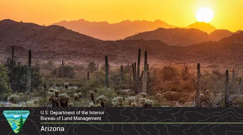 arizonablm-3.jpg