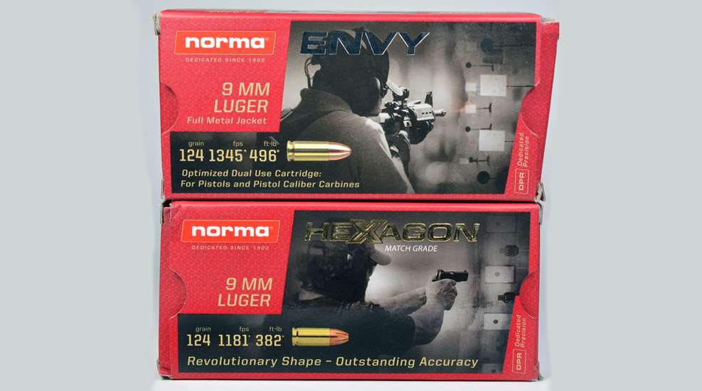 norma1.jpg