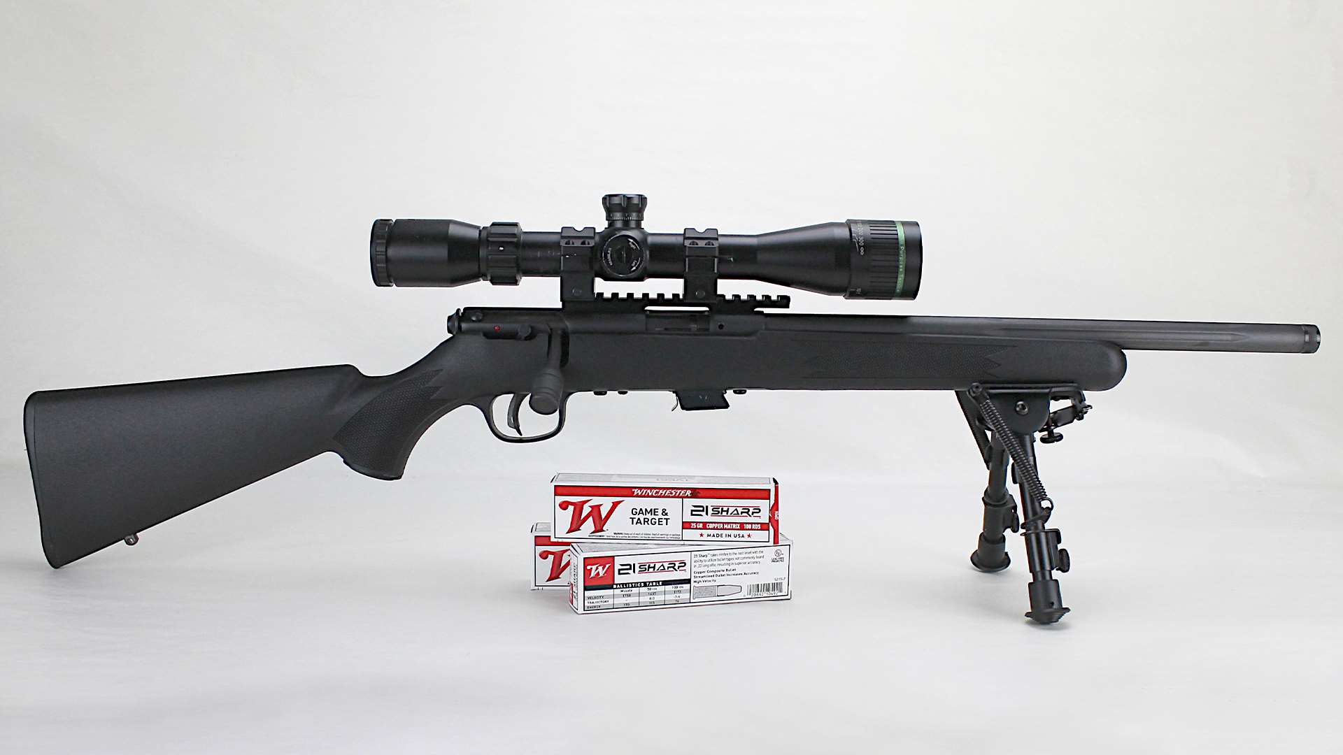 Savage Arms Mark II