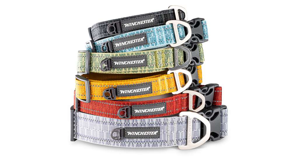 Winchesterpetcollar2024jul 2